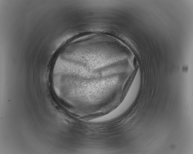 X0000090900723200708201717