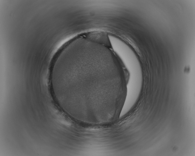 X0000090900724200708201717