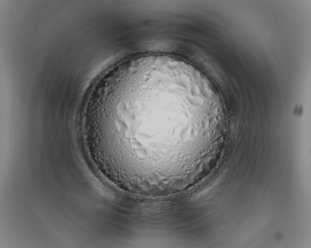 X0000090900725200708201717