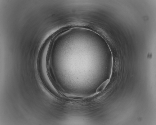 X0000090900726200708201717