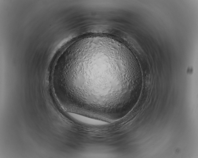 X0000090900727200708201717