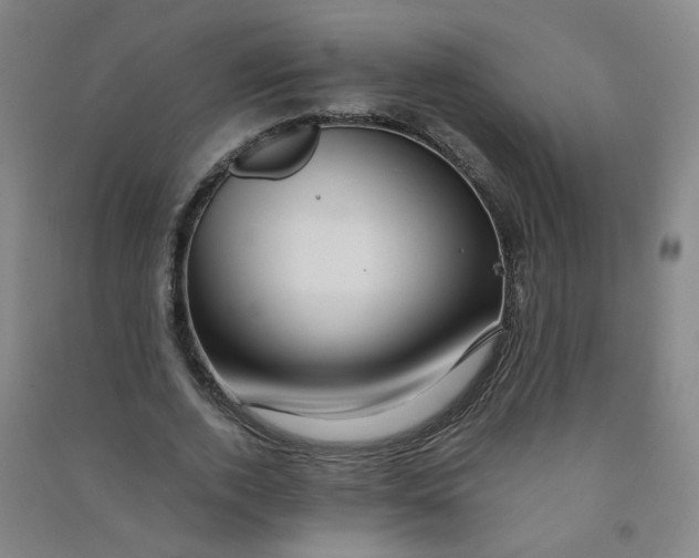 X0000090900728200708201717