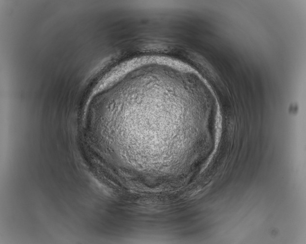 X0000090900729200708201717