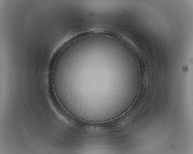 X0000090900730200708201717