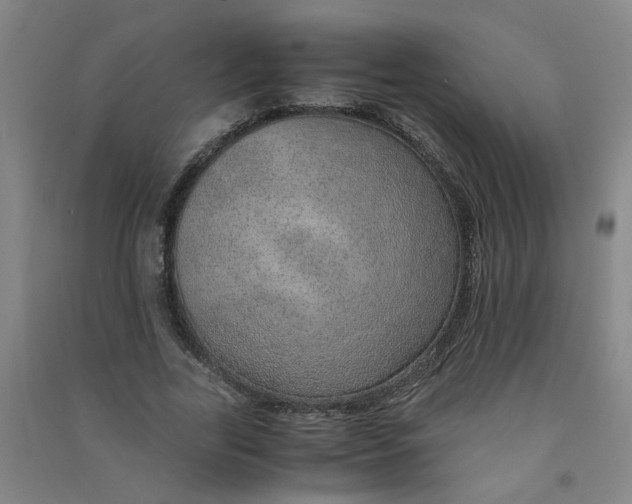 X0000090900731200708201717