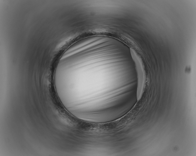 X0000090900732200708201717