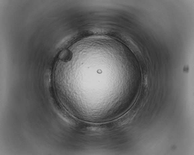 X0000090900733200708201717