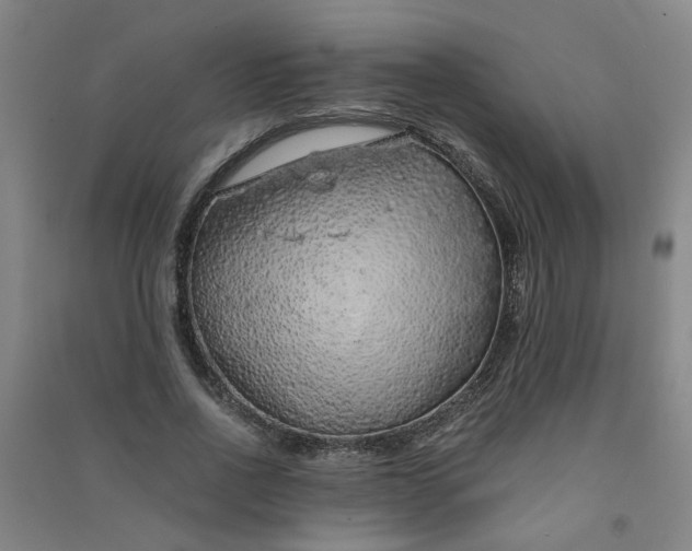 X0000090900734200708201717