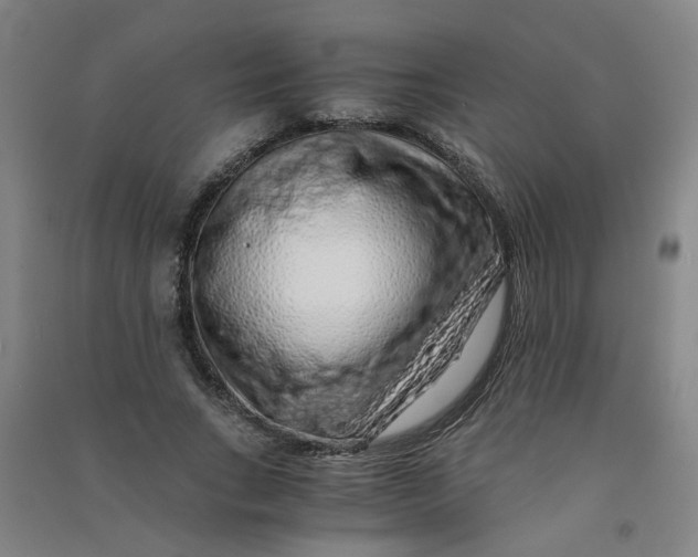 X0000090900735200708201717