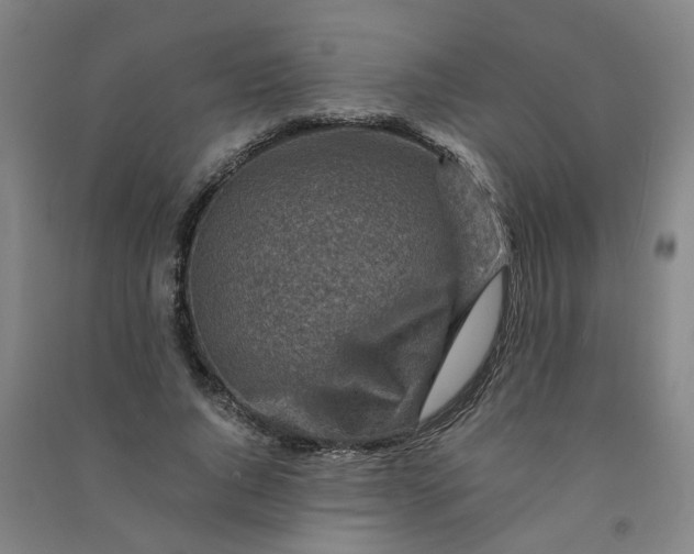 X0000090900736200708201717