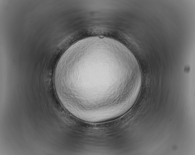 X0000090900737200708201717