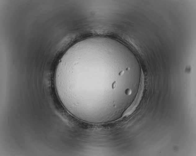 X0000090900738200708201717