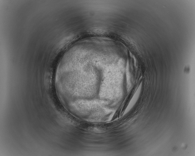 X0000090900739200708201717