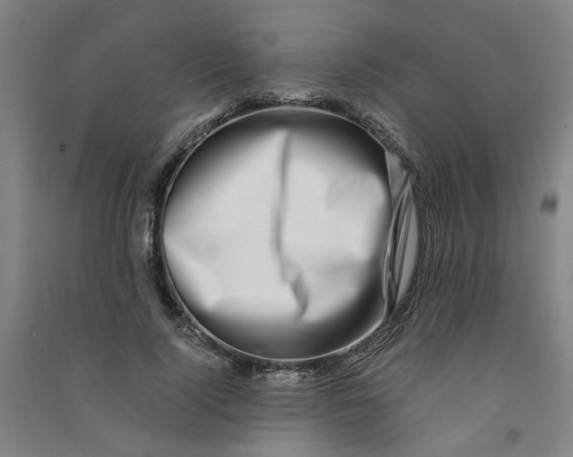 X0000090900740200708201717