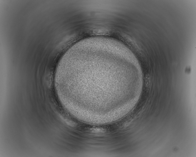 X0000090900741200708201717