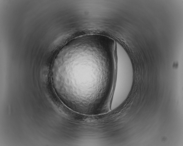 X0000090900742200708201717