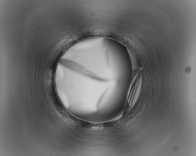 X0000090900744200708201717