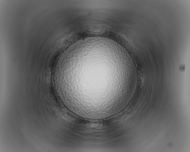 X0000090900745200708201717