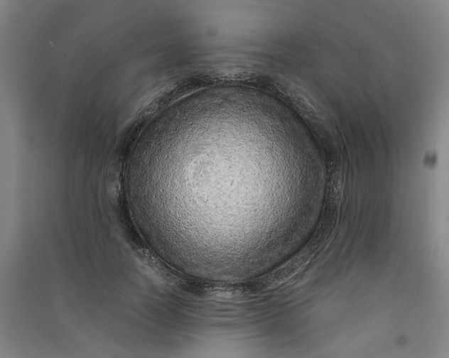 X0000090900746200708201717