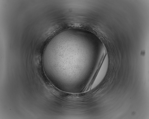 X0000090900747200708201717