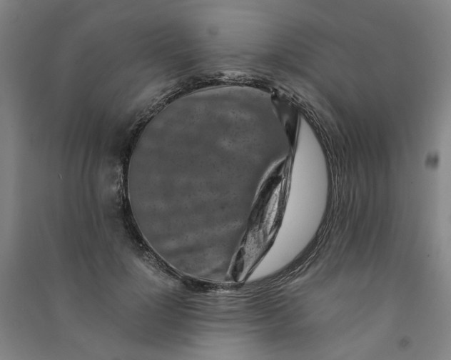 X0000090900748200708201717