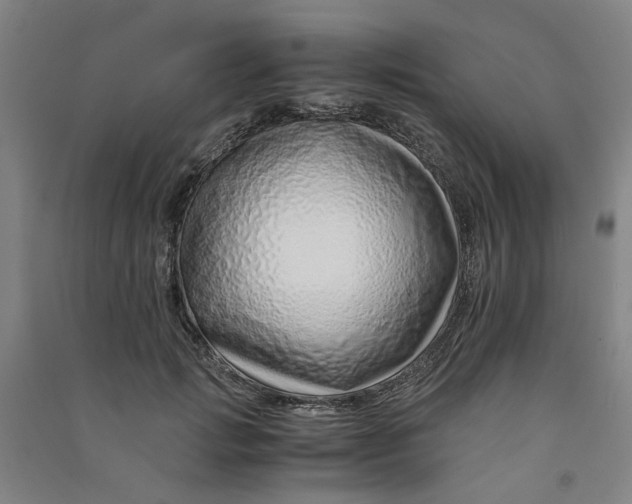 X0000090900749200708201717