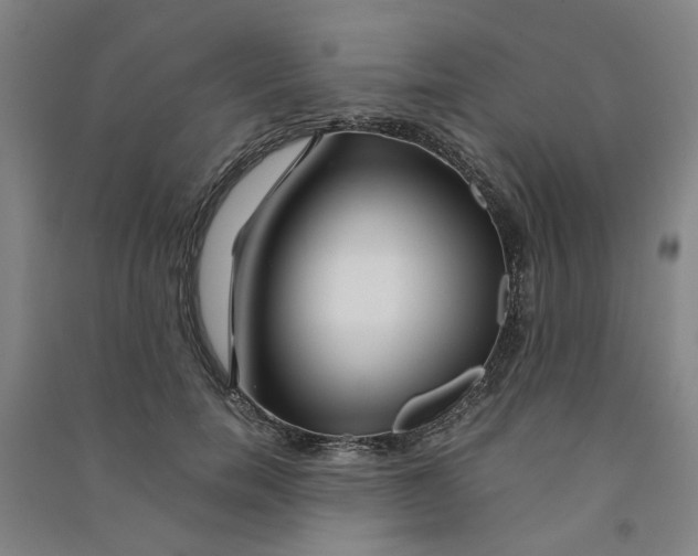 X0000090900750200708201717