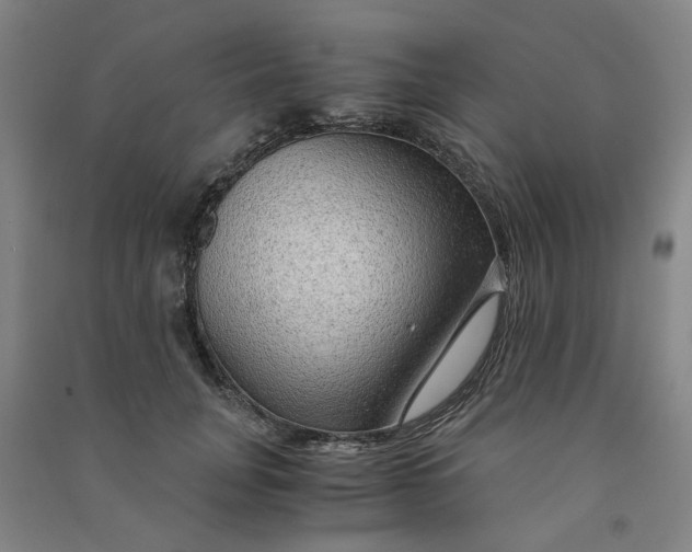 X0000090900751200708201717