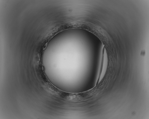 X0000090900752200708201717