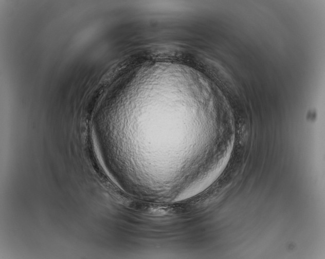 X0000090900753200708201717