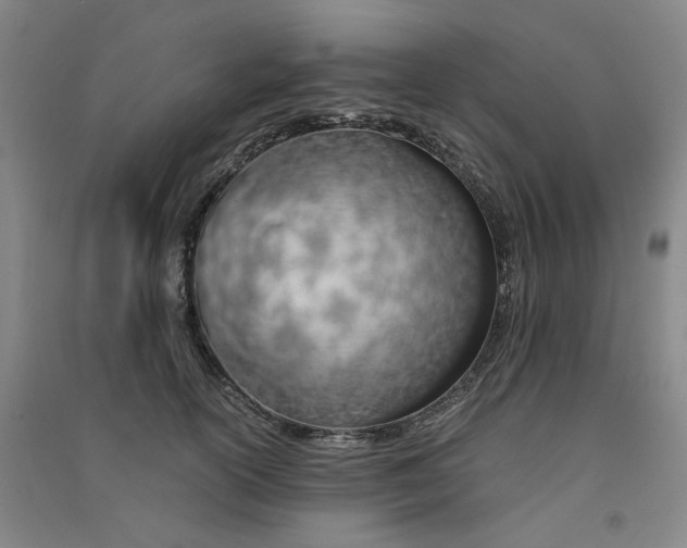 X0000090900754200708201717