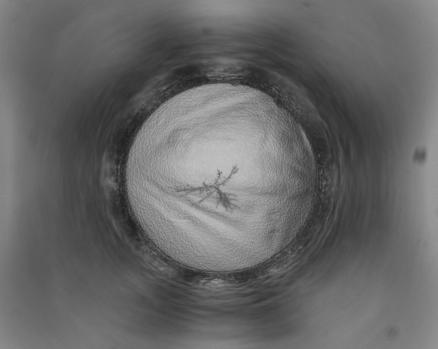 X0000090900755200708201717