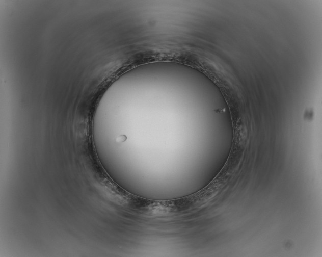 X0000090900756200708201717