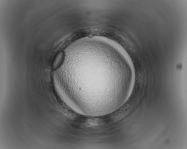 X0000090900757200708201717