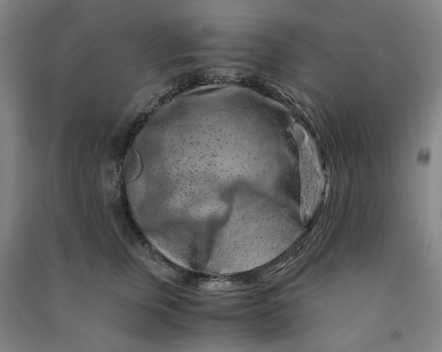 X0000090900759200708201717