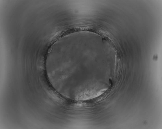 X0000090900760200708201717