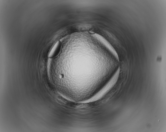 X0000090900761200708201717