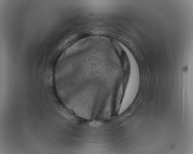 X0000090900762200708201718