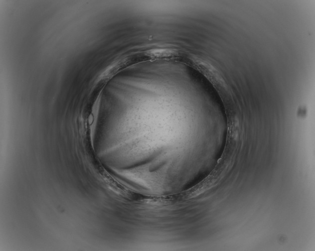 X0000090900763200708201718