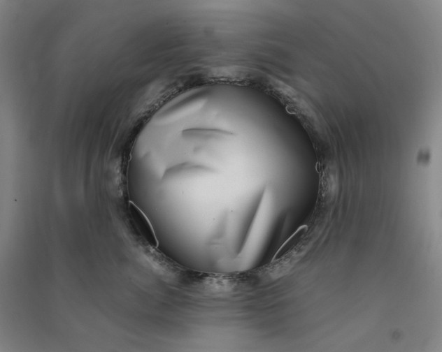 X0000090900764200708201718