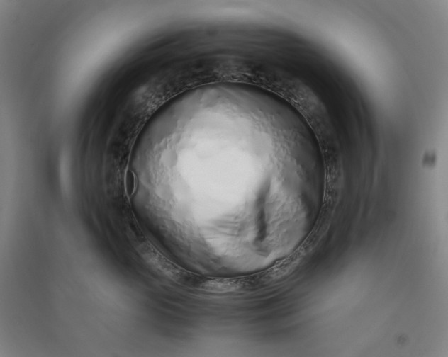 X0000090900765200708201718