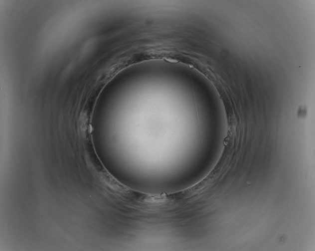 X0000090900767200708201718