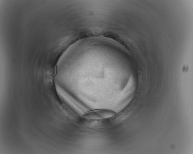 X0000090900768200708201718