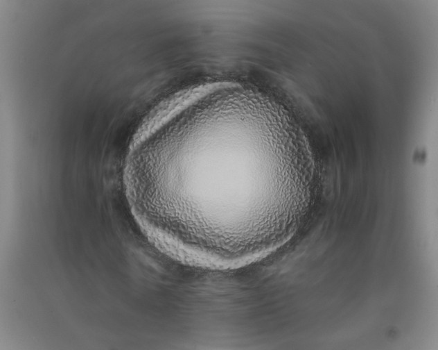 X0000090900770200708201717