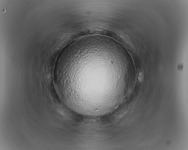 X0000090900771200708201717