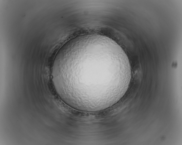 X0000090900772200708201717