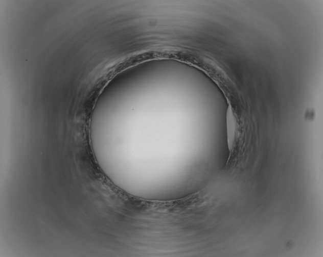 X0000090900773200708201717