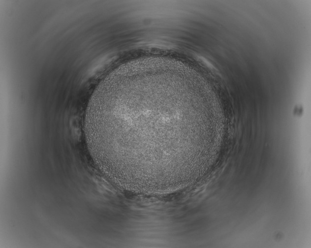 X0000090900774200708201717