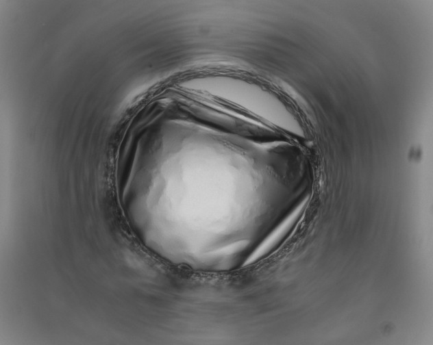 X0000090900775200708201717