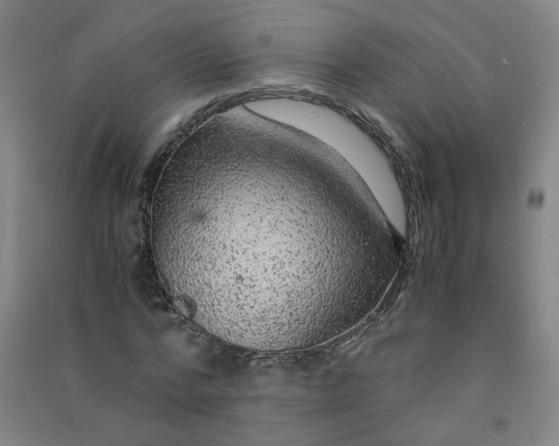 X0000090900776200708201717